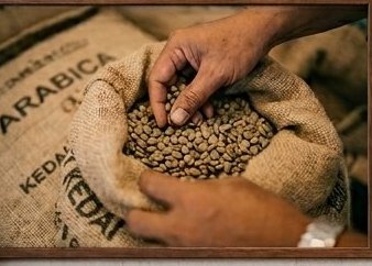 Biji arabika pilihan — Kopi Nusantara